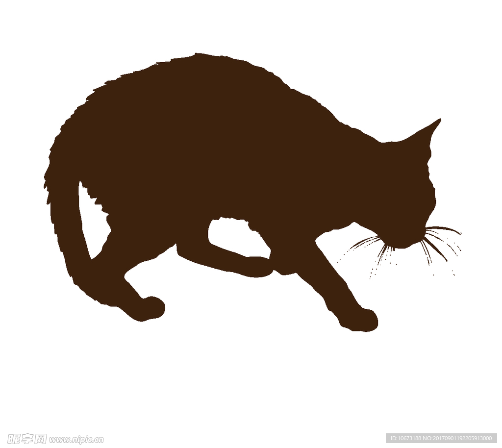 卡通猫