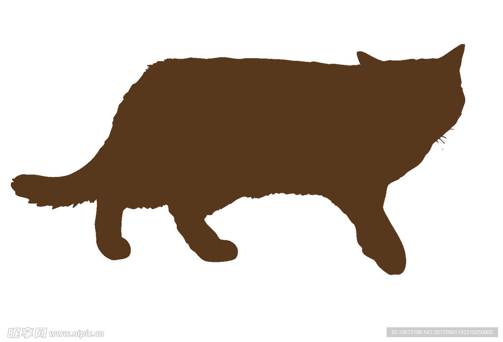 卡通猫