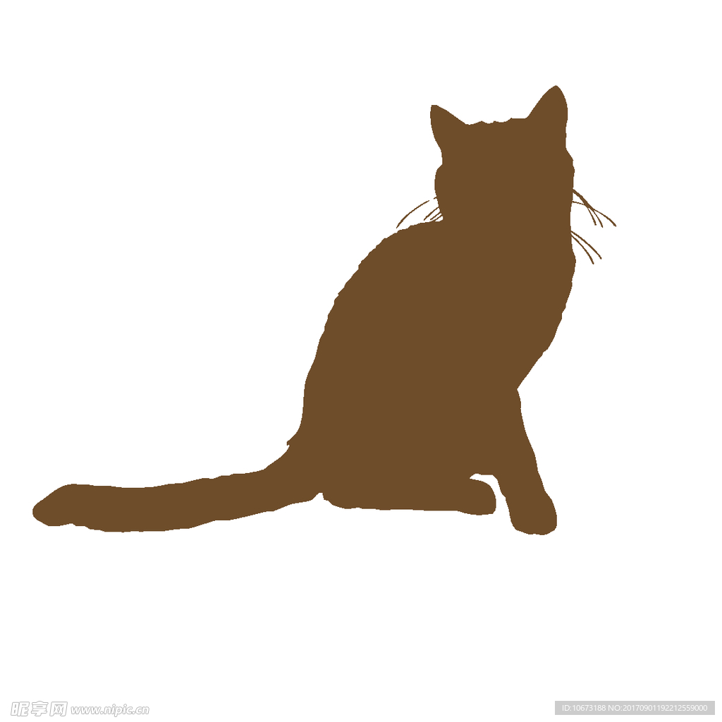 卡通猫
