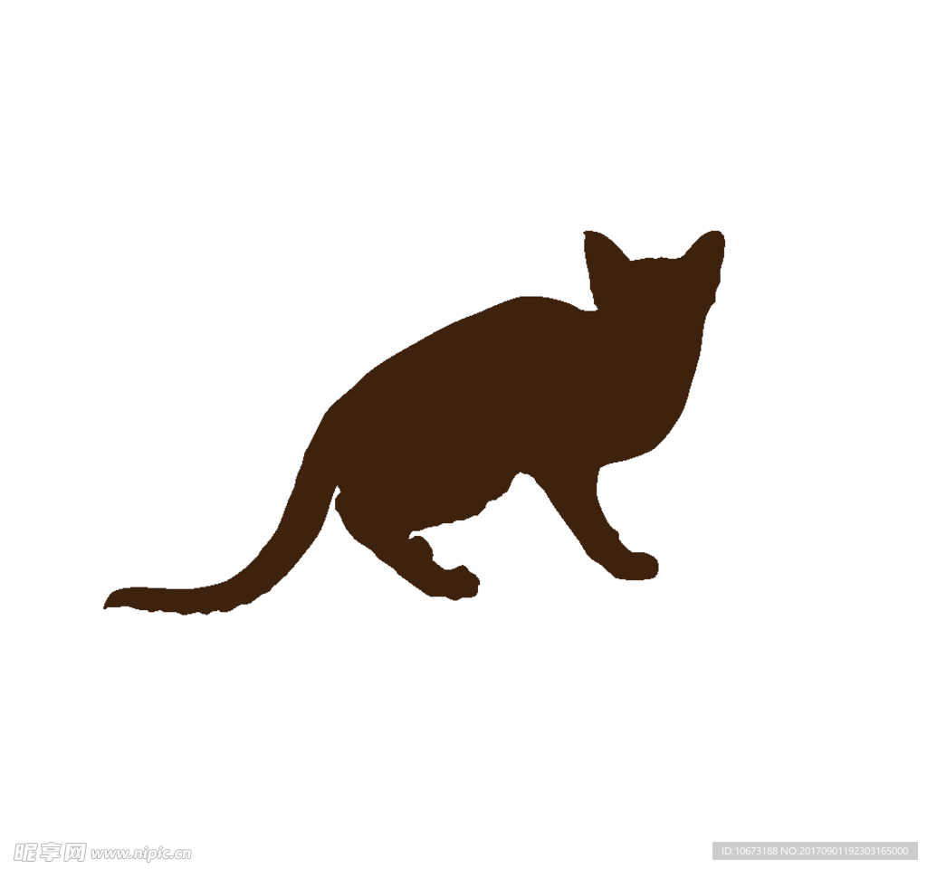 卡通猫