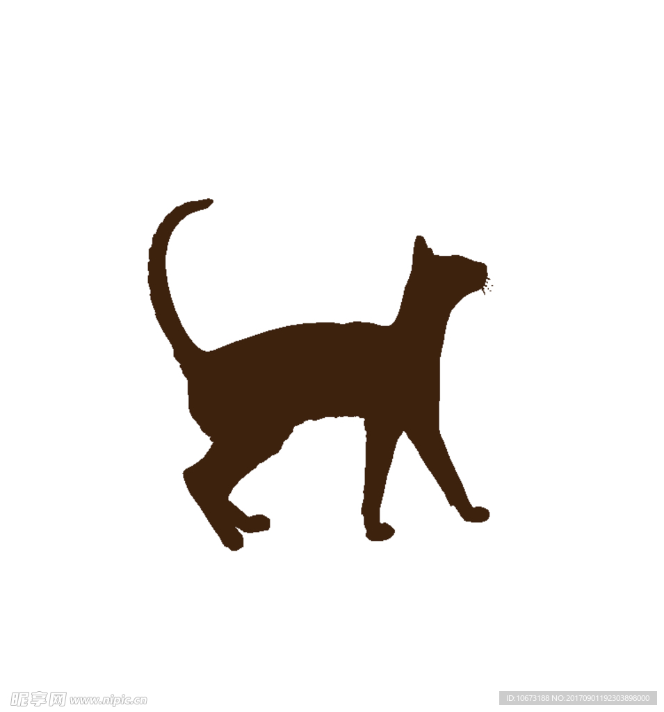 卡通猫