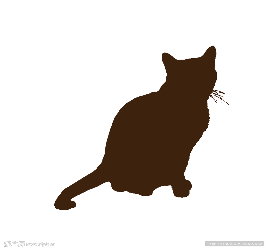 卡通猫