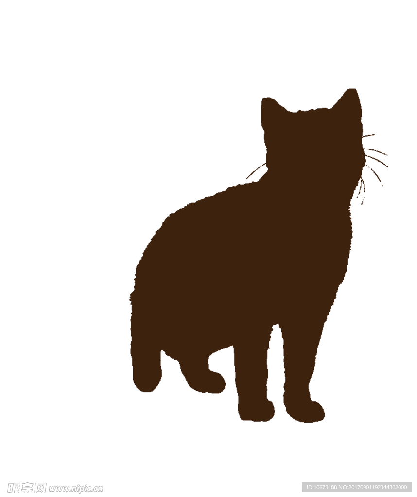 卡通猫