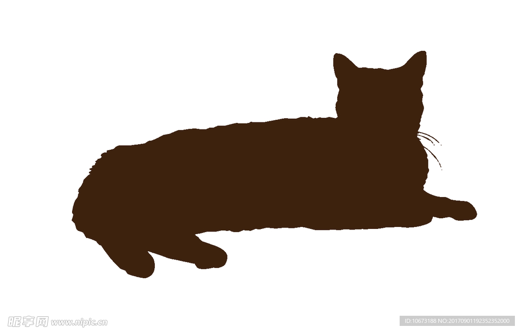 卡通猫