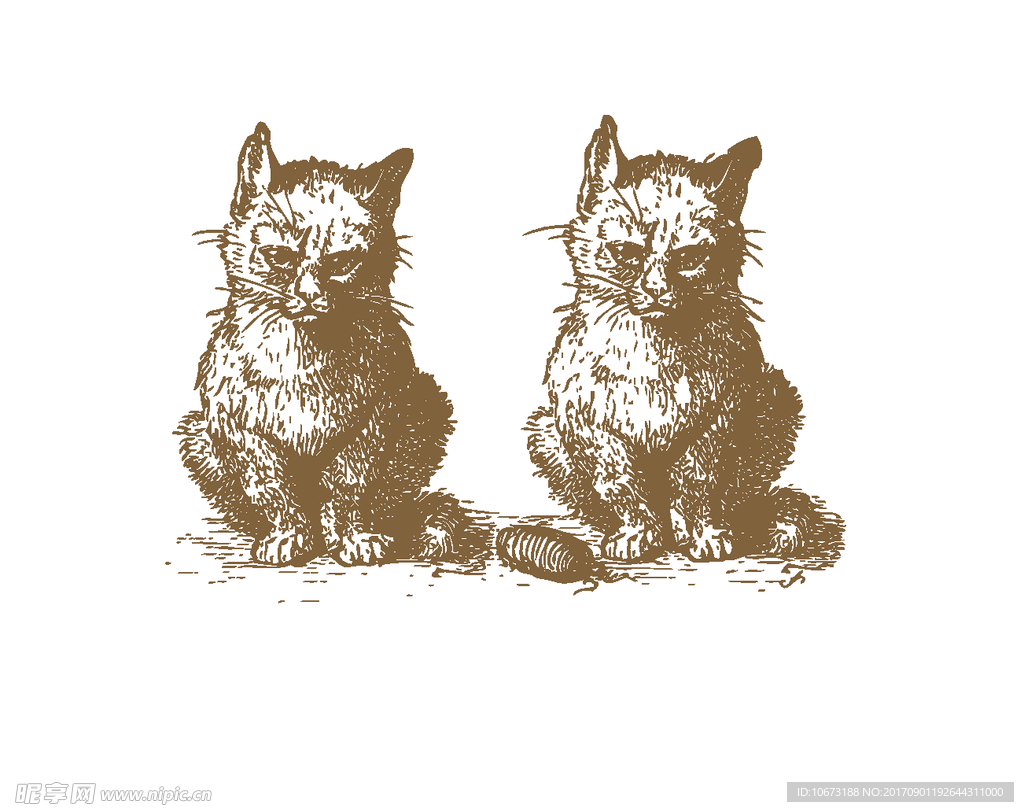 卡通猫