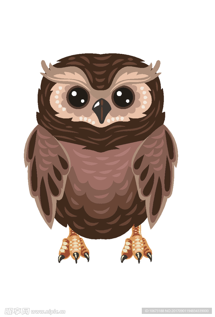 卡通猫头鹰