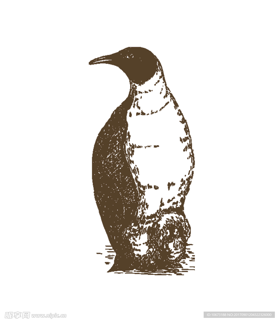 卡通企鹅