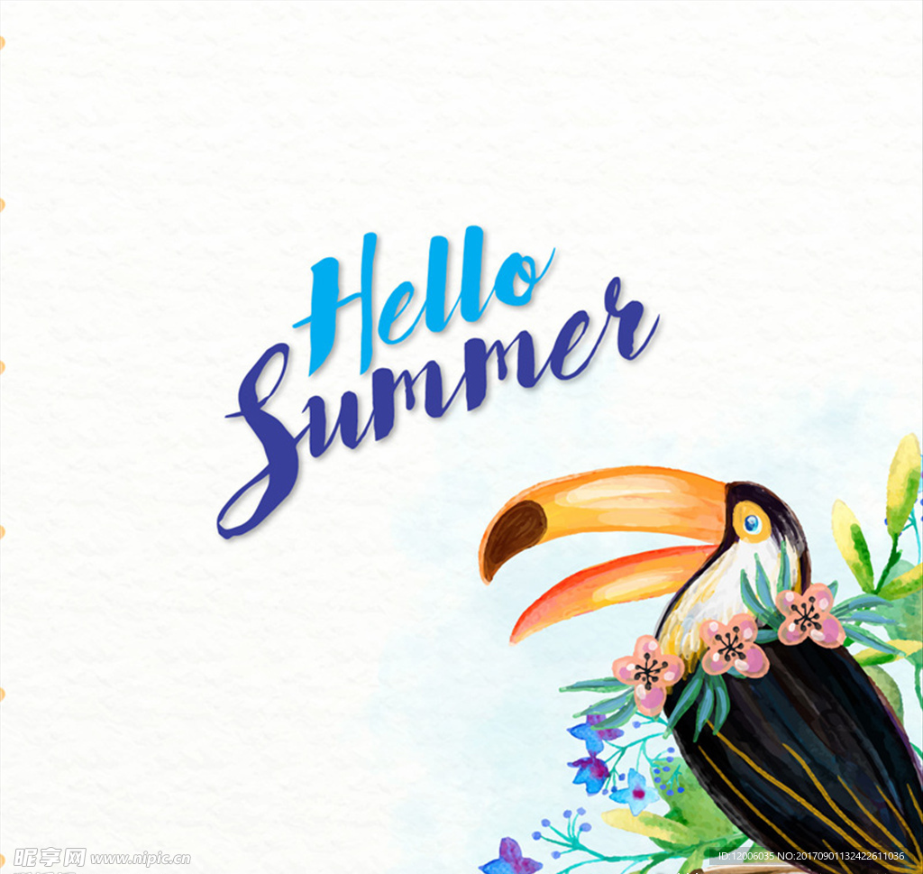 彩绘夏季犀鸟和花卉矢量素材