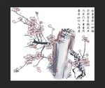 中国画梅花