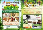 新疆特产单页