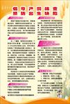 倡导产前筛查 预防出生缺陷