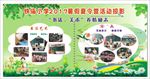 小学夏令营活动掠影