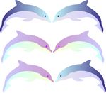 彩色海豚