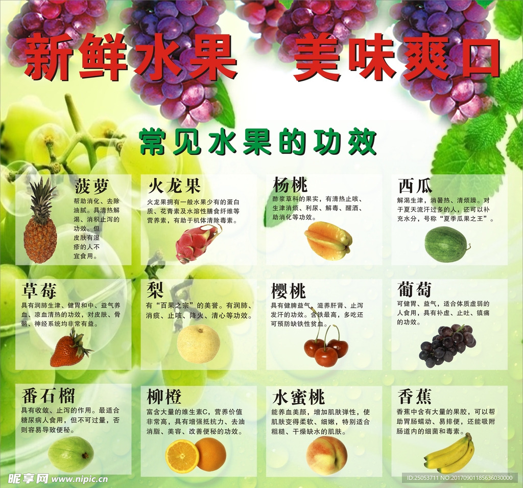 水果介绍海报