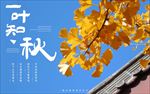 秋天海报