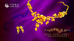 中国黄金