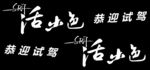 众泰S试驾车贴
