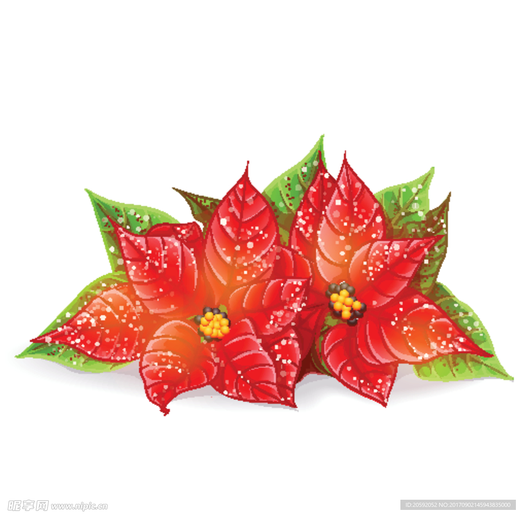 花纹
