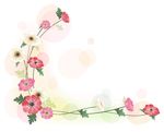 花朵边框