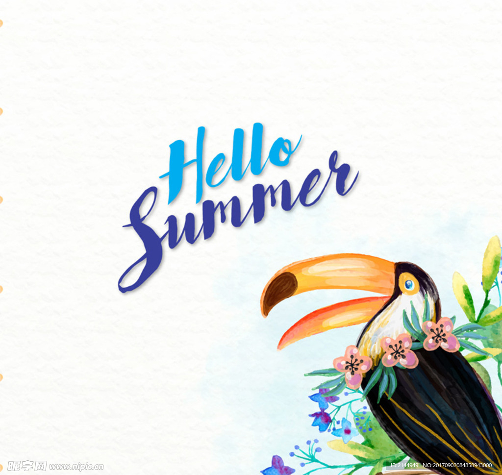 彩绘夏季犀鸟和花卉