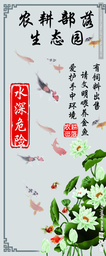 金鱼
