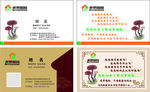 美罗国际名片