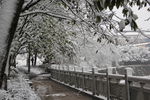 街道雪景
