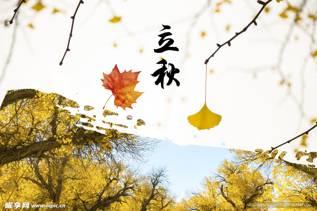 立秋
