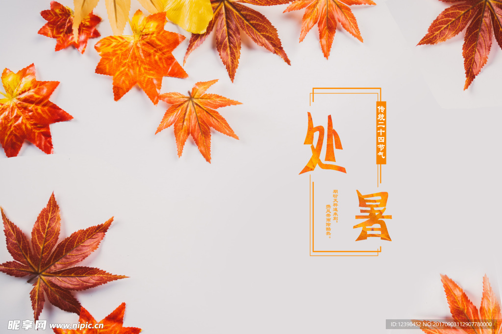 处暑画册