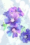 水彩花卉 装饰画