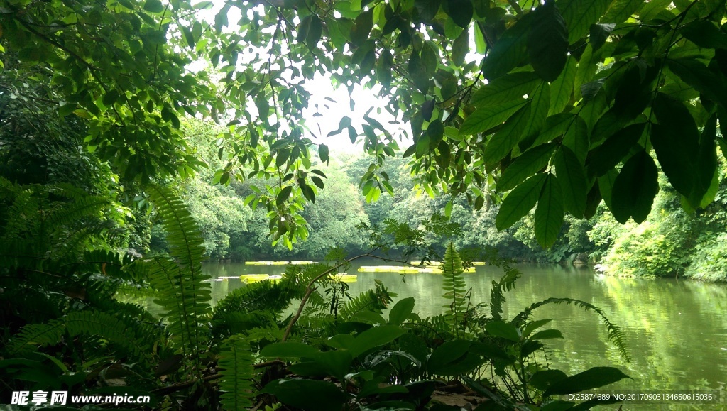 湖水