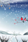 蓝色唯美雪景节气海报