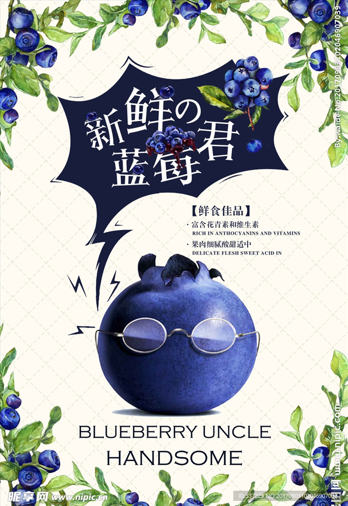 蓝莓海报