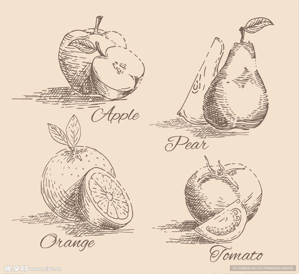 4款手绘水果设计矢量素材