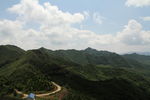 山与树