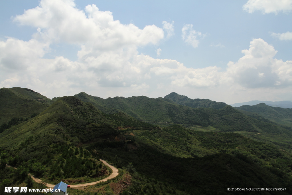 山与树