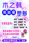 木之韩塑形