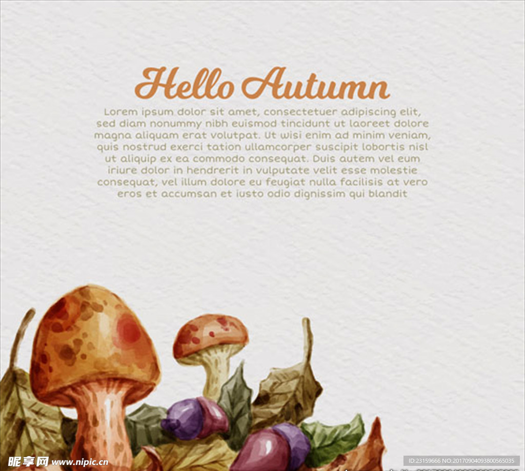 手绘秋天的蘑菇叶子和橡子插图