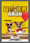 爱心领养