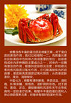 螃蟹的营养功效
