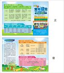 辅导班折页宣传单
