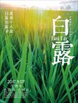 白露节气海报设计