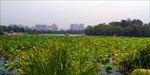 大明宫太液池