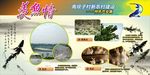 新农村展板