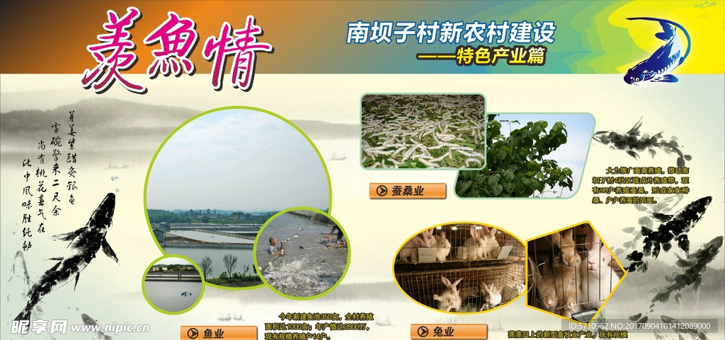新农村展板