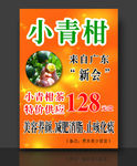 小青柑 柑普茶 新会柑普