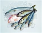 生鲜专用大图素材