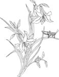 百合花壁画
