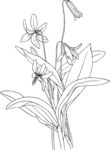 百合花壁画