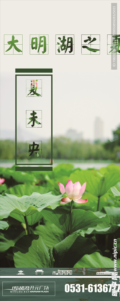 大明湖夏天